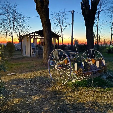 La Casa Di Bruno Daire Piove di Sacco Dış mekan fotoğraf