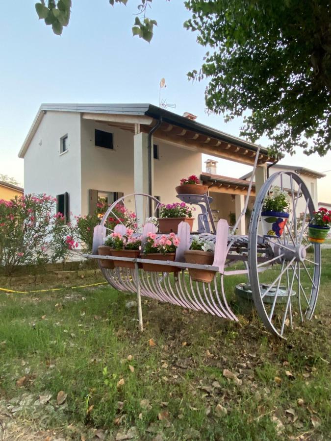 La Casa Di Bruno Daire Piove di Sacco Dış mekan fotoğraf