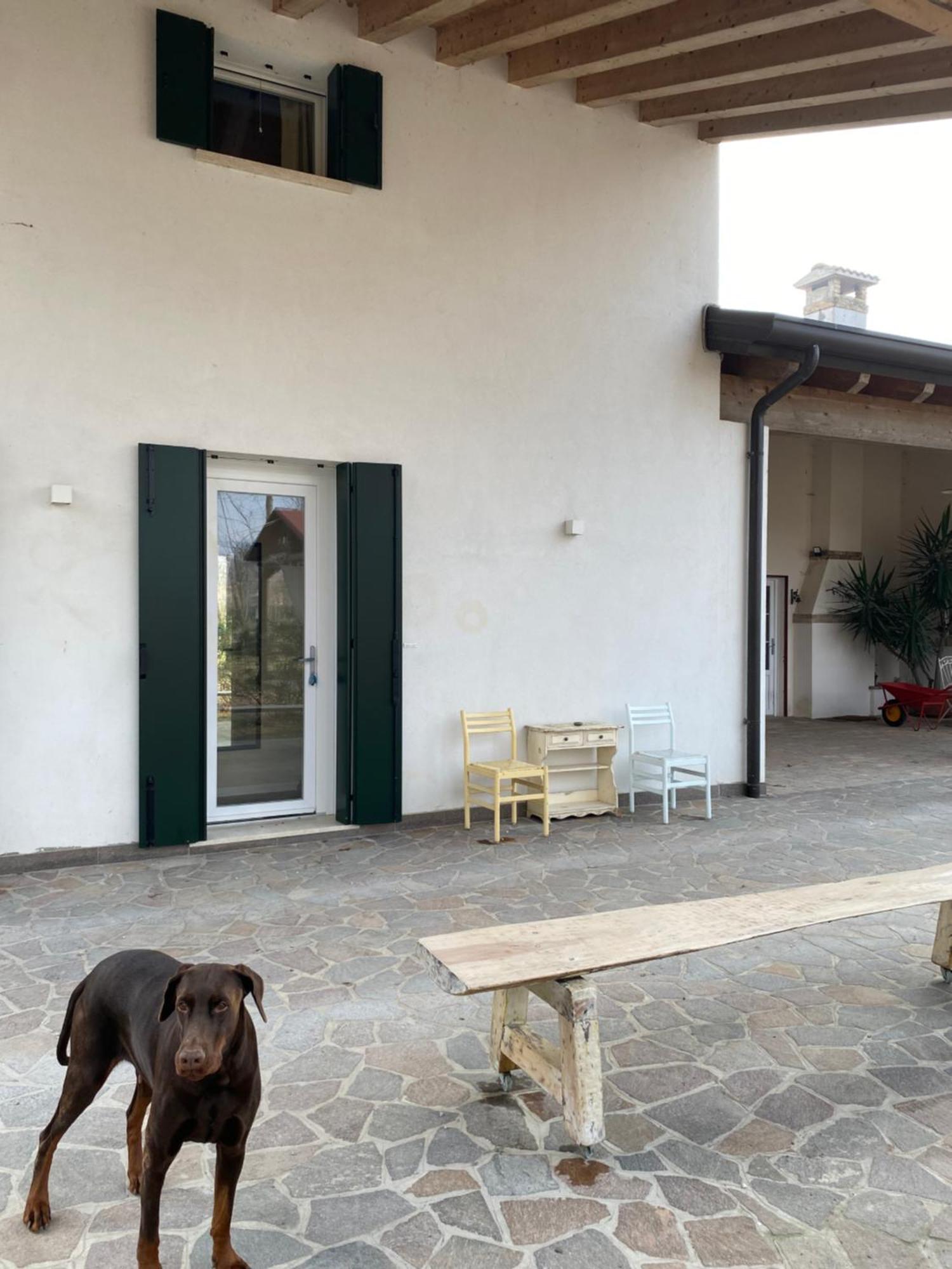 La Casa Di Bruno Daire Piove di Sacco Dış mekan fotoğraf